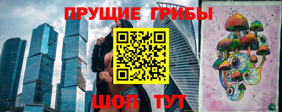 закладка  Псилоцибиновые грибы GOLDEN TEACHER  Галлюциногенные грибы мицелий  Вход с VPN  Череповец 