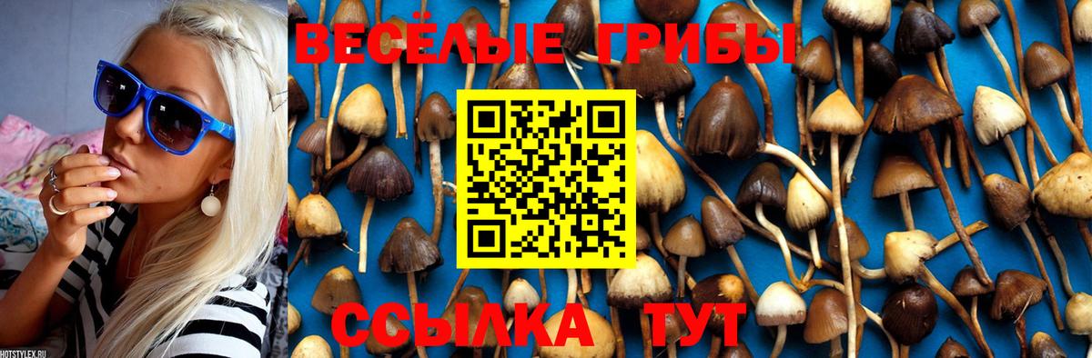Галлюциногенные грибы MAGIC MUSHROOMS Череповец